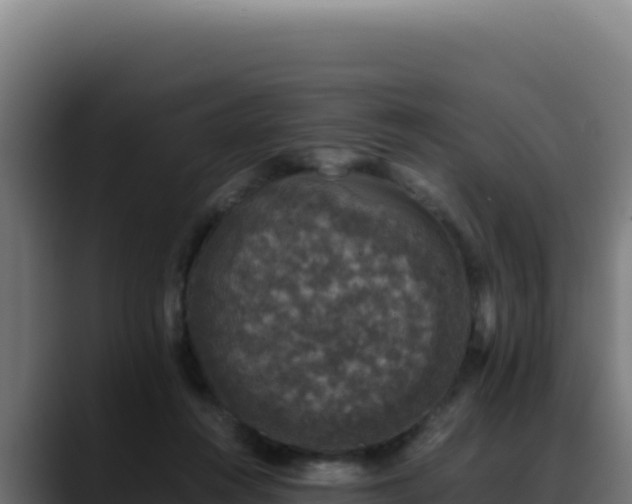 X0000088400360200705291433