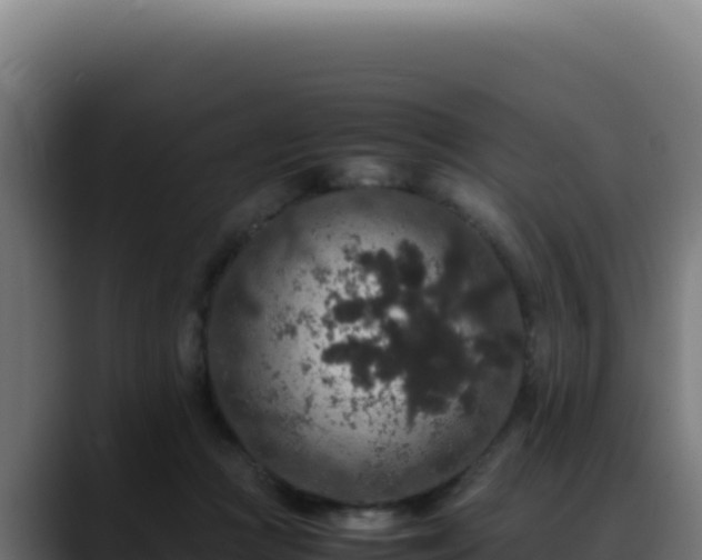 X0000088400361200705291433