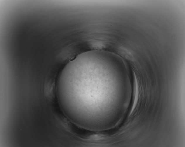 X0000088400364200705291433