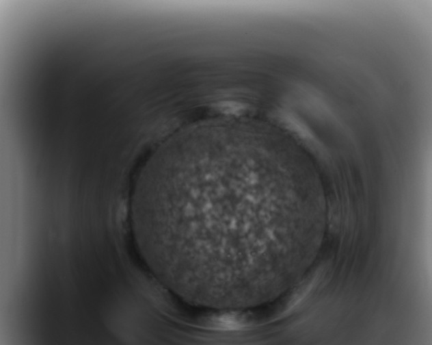 X0000088400365200705291433