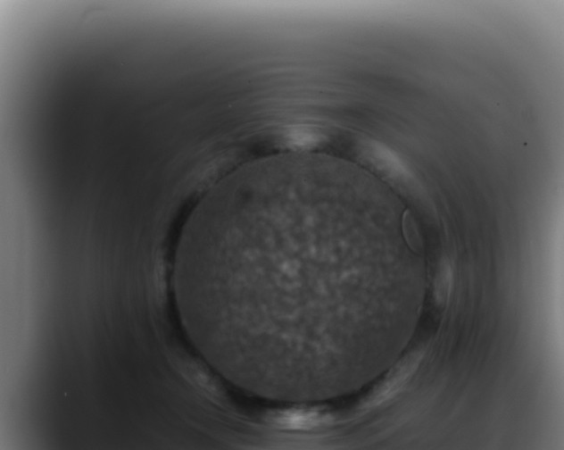 X0000088400366200705291433