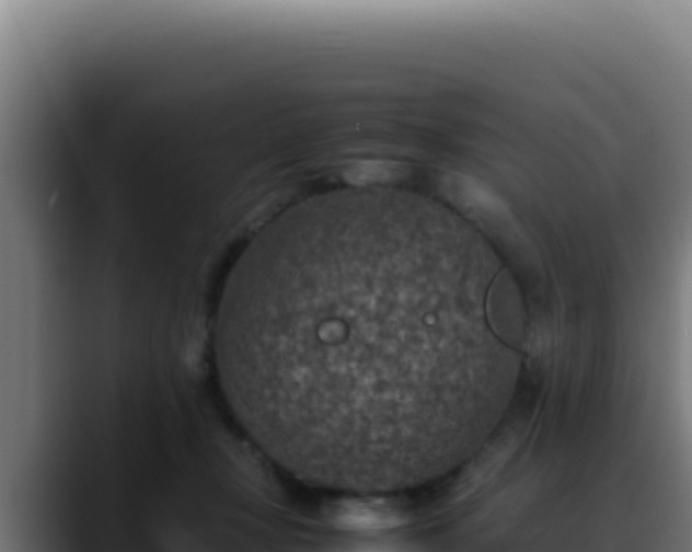 X0000088400367200705291433