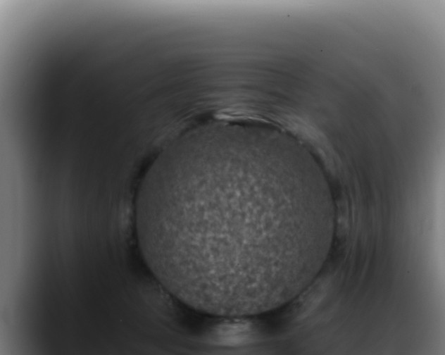 X0000088400369200705291433