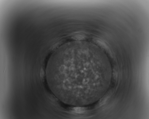 X0000088400371200705291433