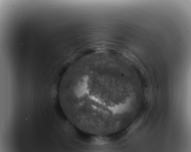 X0000088400372200705291433