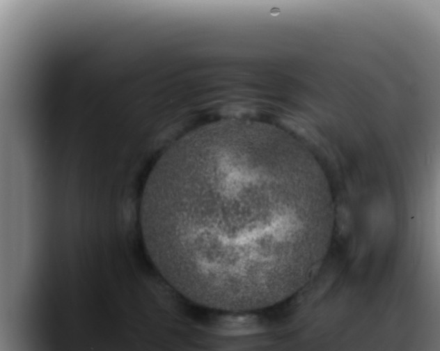 X0000088400375200705291433