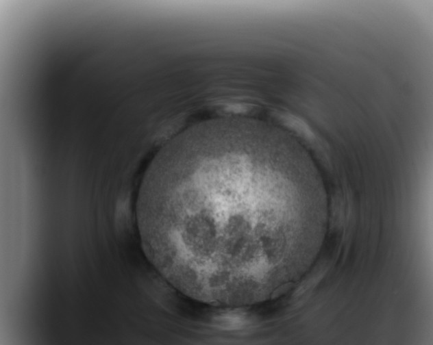 X0000088400377200705291433