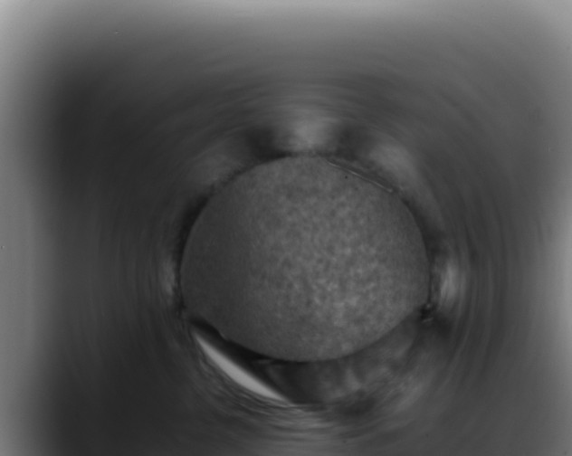 X0000088400380200705291434