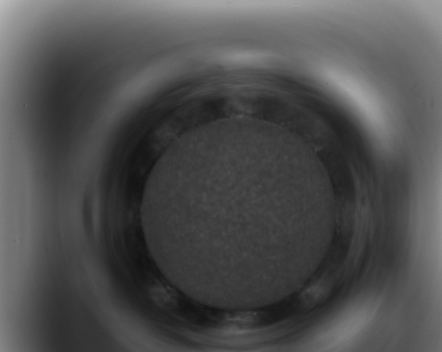 X0000088400382200705291434