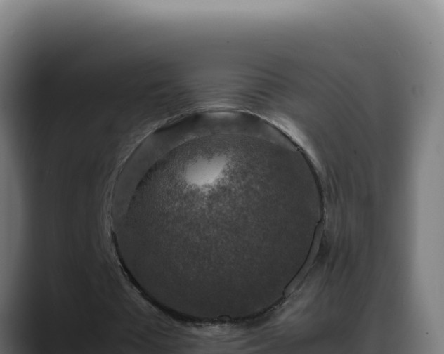 X0000088400385200705291433