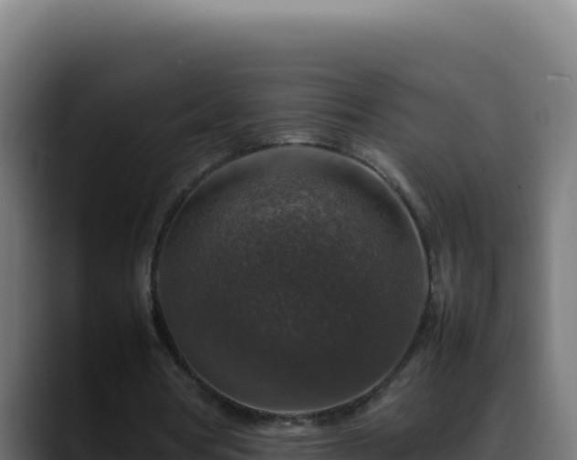 X0000088400386200705291433