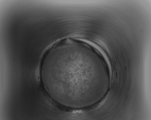 X0000088400388200705291433