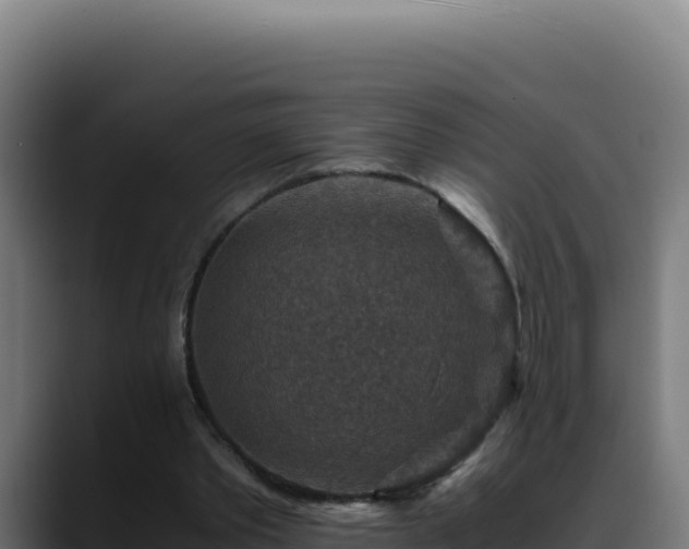 X0000088400389200705291433