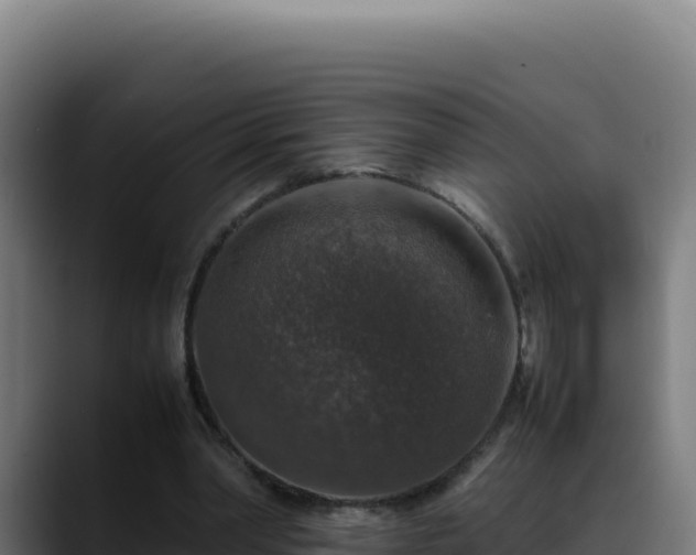 X0000088400390200705291433