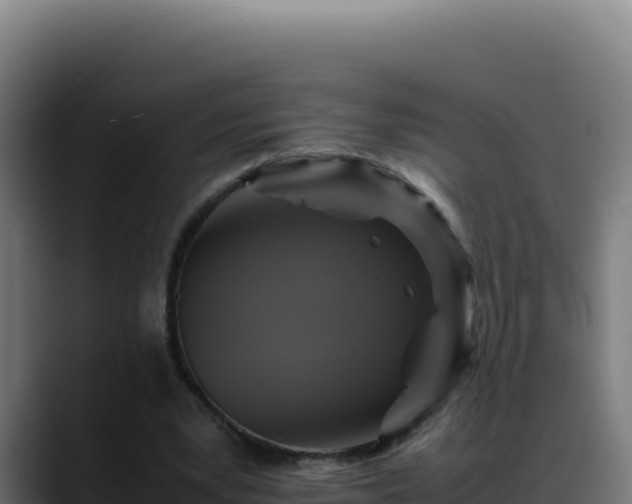 X0000088400391200705291433