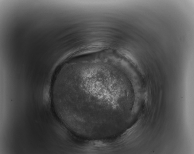 X0000088400392200705291433