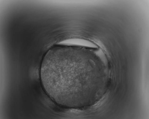 X0000088400393200705291433