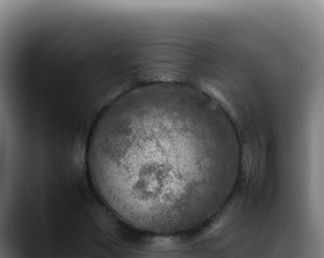 X0000088400394200705291433