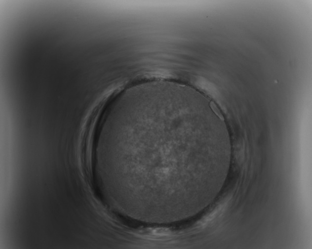 X0000088400395200705291433