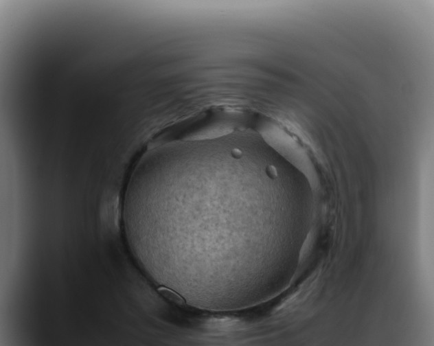 X0000088400397200705291433