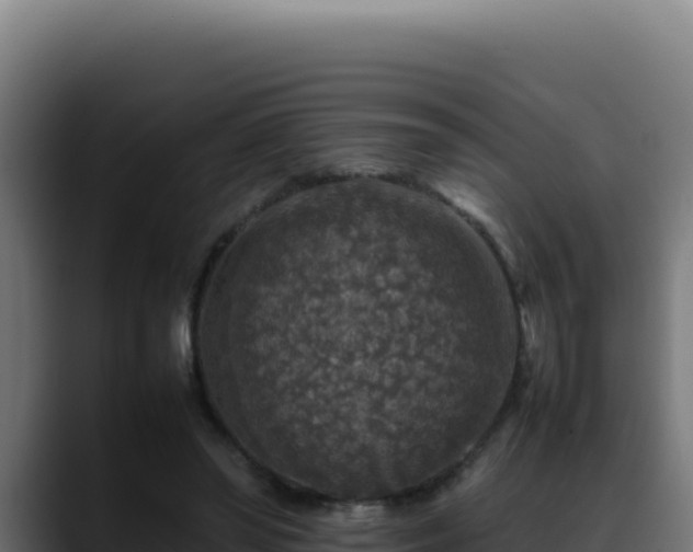 X0000088400398200705291433