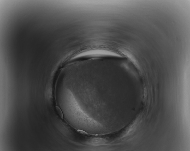 X0000088400399200705291433