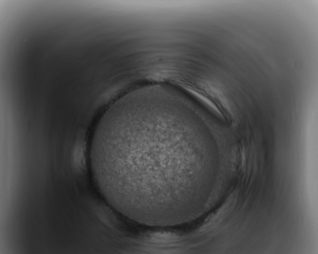 X0000088400400200705291433