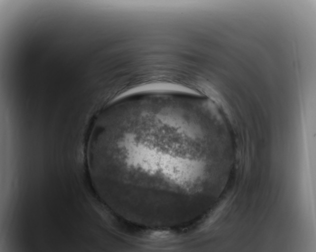 X0000088400401200705291433