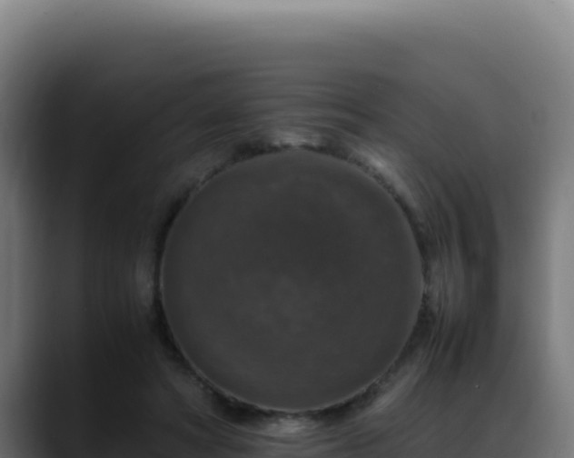 X0000088400402200705291433