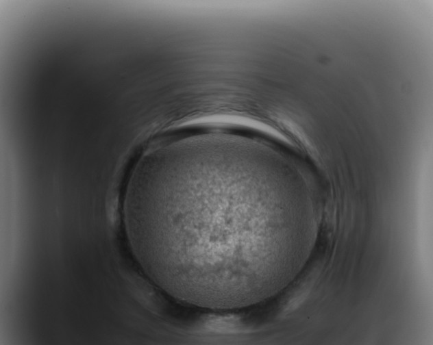 X0000088400403200705291433