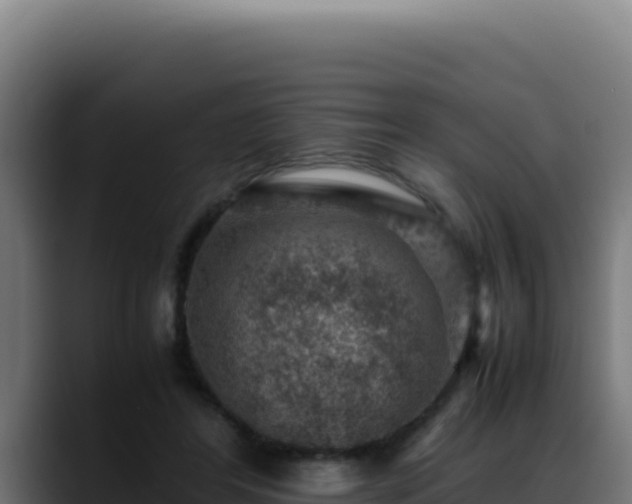 X0000088400404200705291433