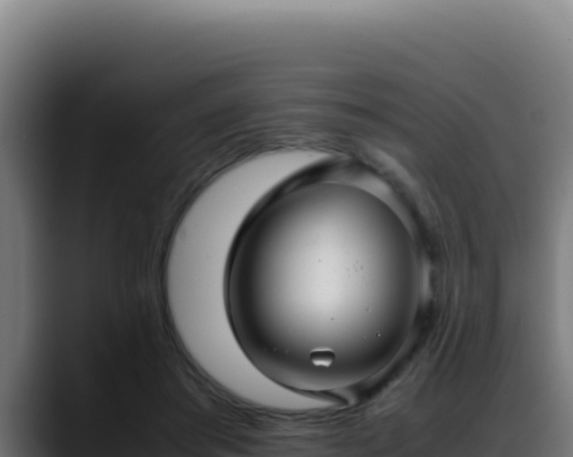 X0000088400405200705291433