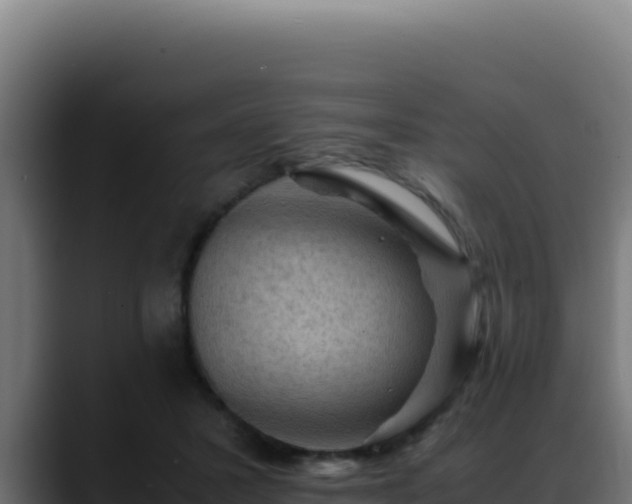 X0000088400407200705291433