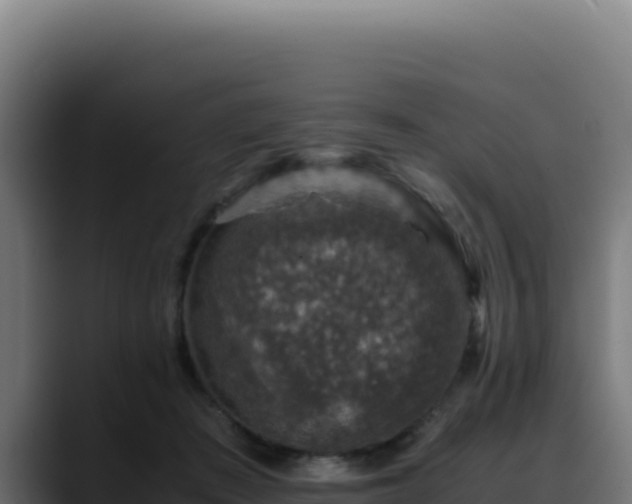 X0000088400409200705291433