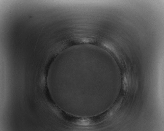 X0000088400410200705291433