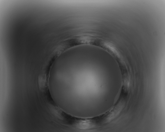 X0000088400411200705291433