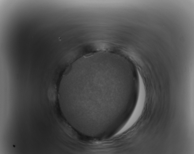 X0000088400413200705291433