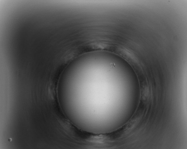 X0000088400414200705291433