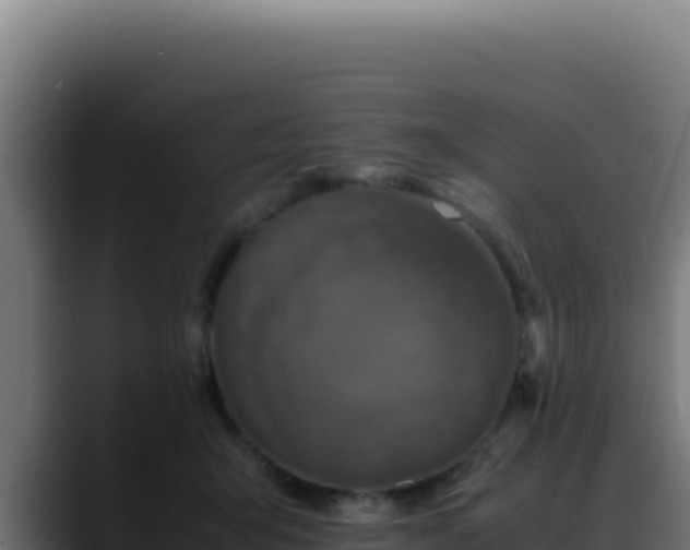 X0000088400415200705291433