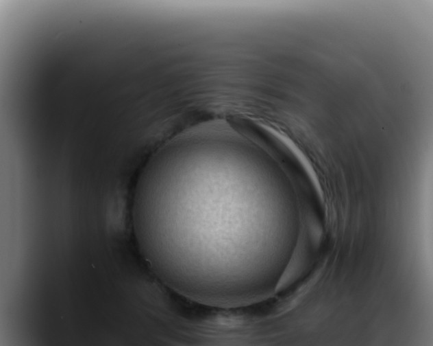 X0000088400416200705291433