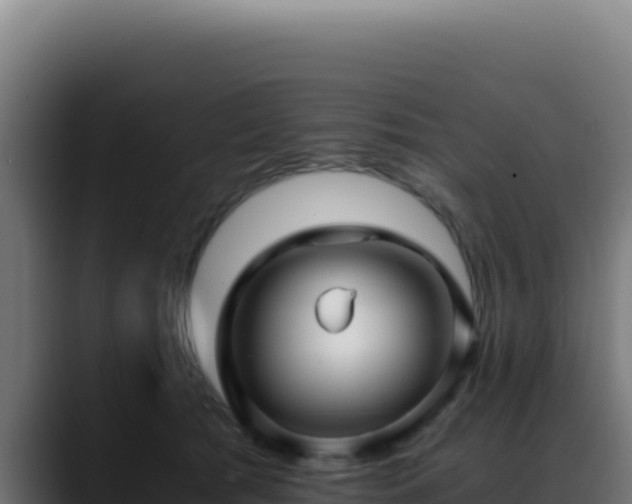 X0000088400417200705291433