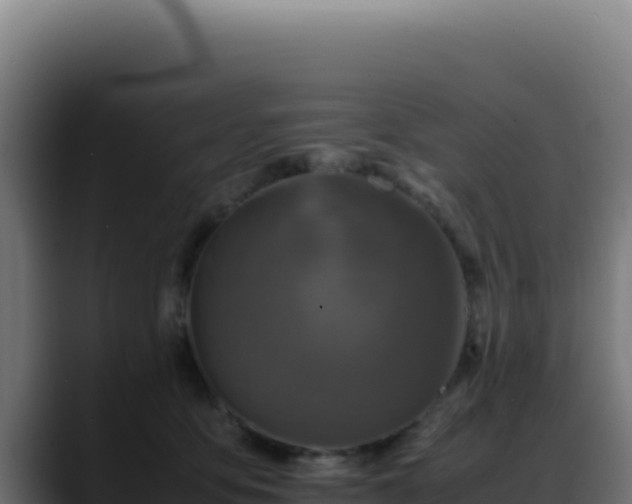 X0000088400419200705291433