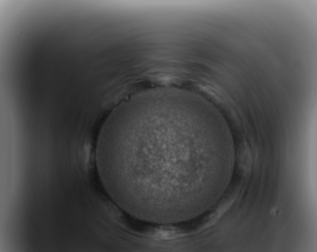 X0000088400420200705291433