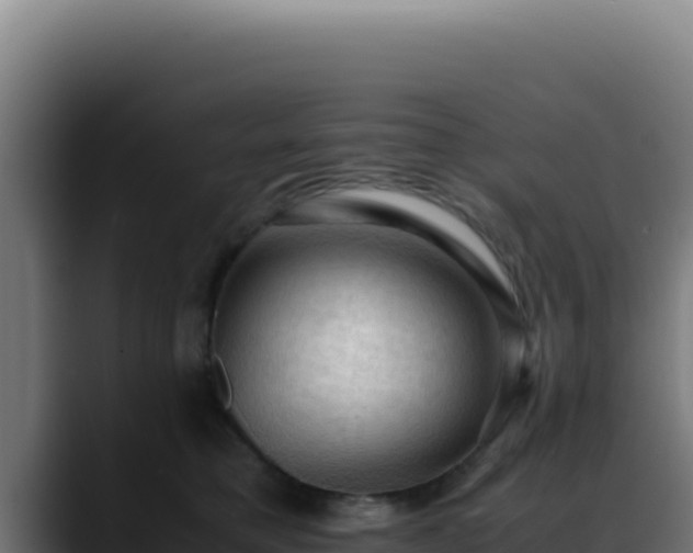 X0000088400421200705291432