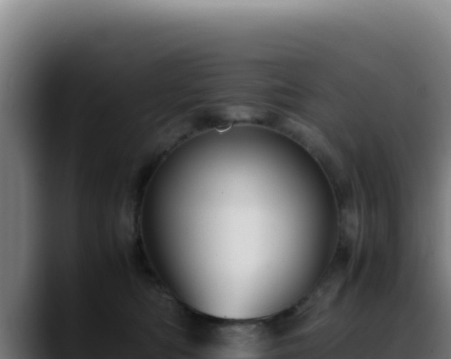 X0000088400422200705291432