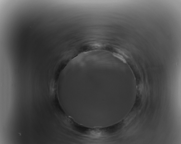 X0000088400423200705291432