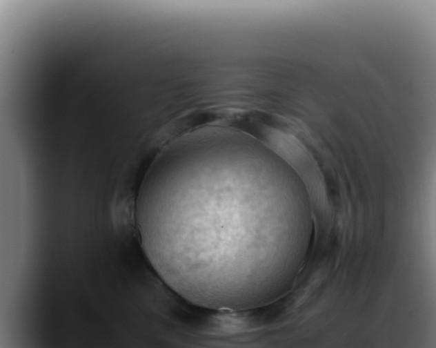 X0000088400425200705291432