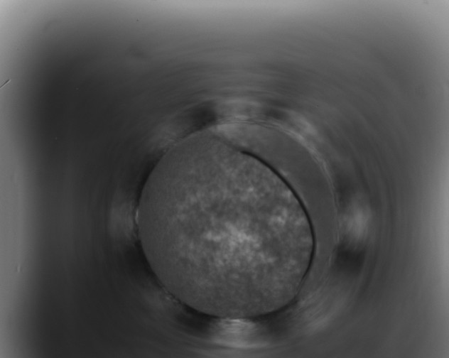 X0000088400429200705291432