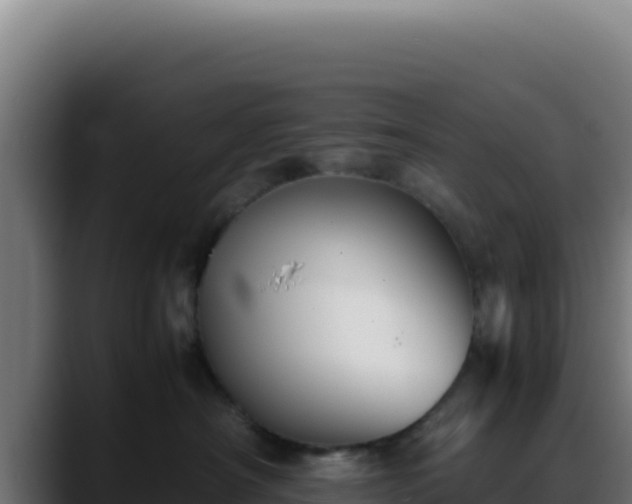 X0000088400430200705291432