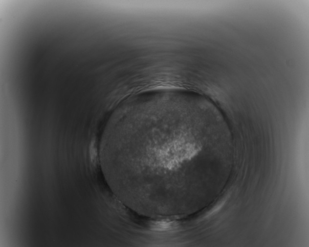 X0000088400432200705291432